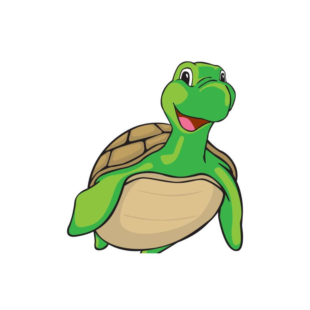 Turtle Mascot